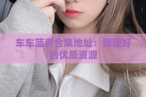 车车蓝奏合集地址：整理好的优质资源