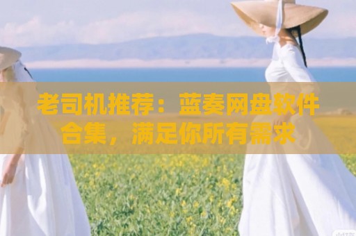 老司机推荐：蓝奏网盘软件合集，满足你所有需求