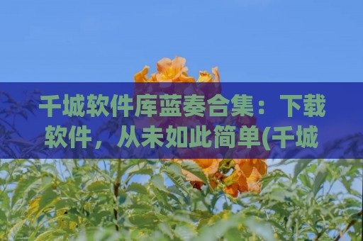 千城软件库蓝奏合集：下载软件，从未如此简单(千城软件库 - 蓝奏云)