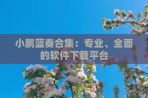 小鹏蓝奏合集：专业、全面的软件下载平台