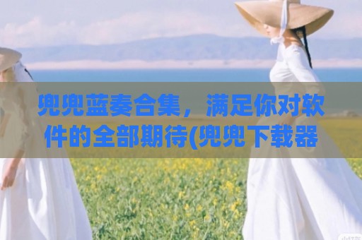 兜兜蓝奏合集，满足你对软件的全部期待(兜兜下载器)
