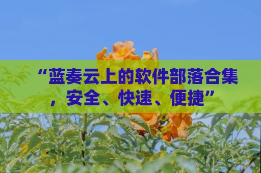 “蓝奏云上的软件部落合集，安全、快速、便捷”