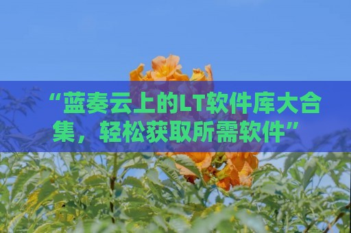 “蓝奏云上的LT软件库大合集，轻松获取所需软件”