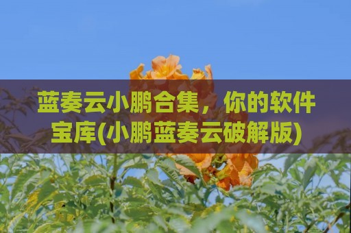 蓝奏云小鹏合集，你的软件宝库(小鹏蓝奏云破解版)
