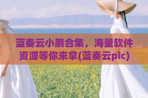 蓝奏云小鹏合集，海量软件资源等你来拿(蓝奏云pic)