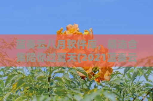 蓝奏云八月软件库，精选合集陪你过夏天(2021蓝奏云软件库)