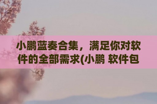 小鹏蓝奏合集，满足你对软件的全部需求(小鹏 软件包)