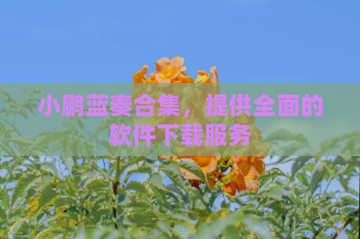 小鹏蓝奏合集，提供全面的软件下载服务