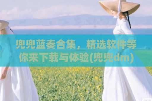 兜兜蓝奏合集，精选软件等你来下载与体验(兜兜dm)