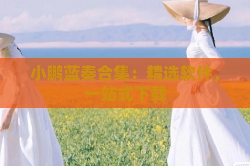 小鹏蓝奏合集：精选软件，一站式下载