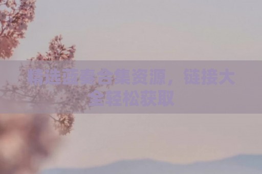 精选蓝奏合集资源，链接大全轻松获取