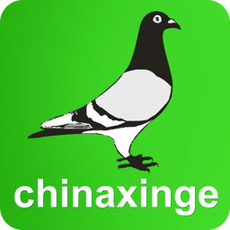 中国信鸽信息网官方版